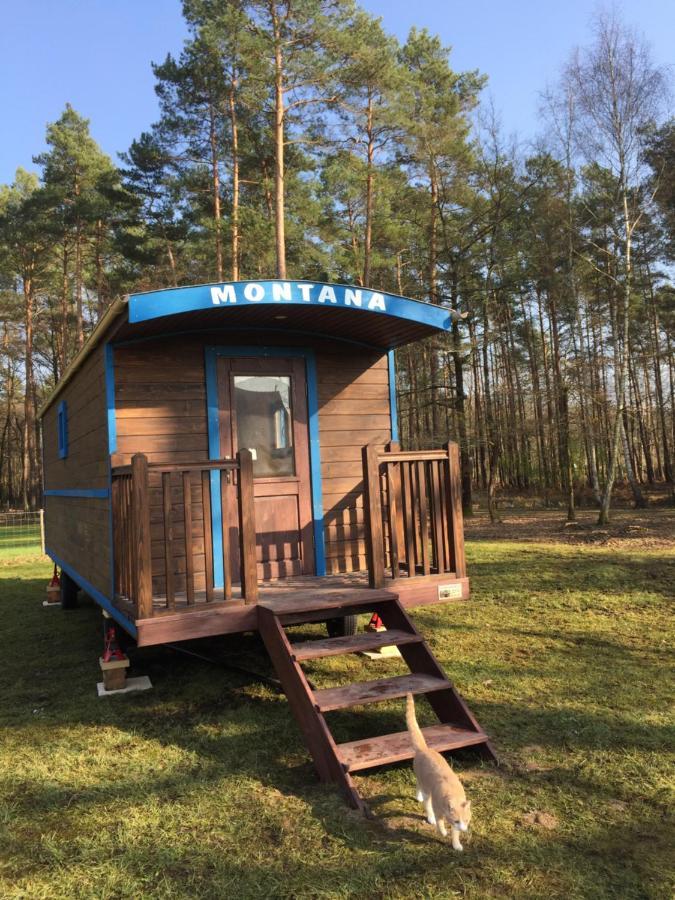 Roulottes Du Chalet Des Pins Rougeou Экстерьер фото