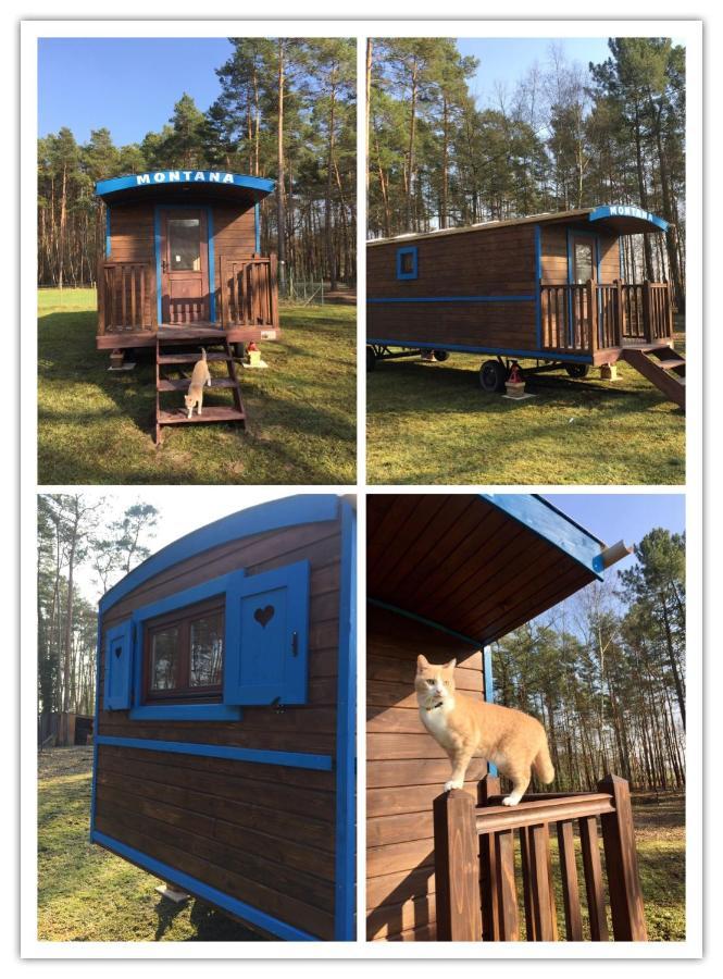 Roulottes Du Chalet Des Pins Rougeou Экстерьер фото