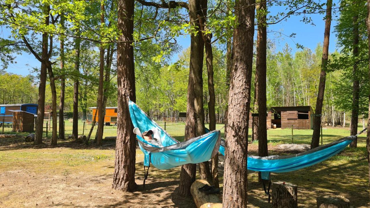 Roulottes Du Chalet Des Pins Rougeou Экстерьер фото